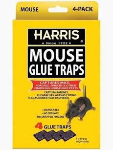 Harris Mouse Glue Trap 4 pack