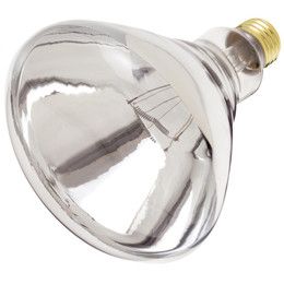 Heat Lamp Bulb Clear 250 Watt