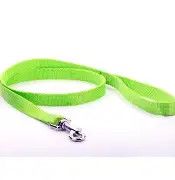 Leash Nylon DBL Lime Green 1"x6'