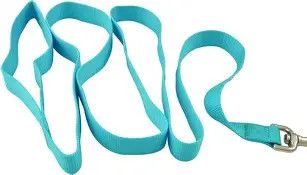 Leash Nylon DBL Turquoise 1"x6'