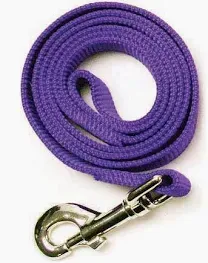 Leash Nylon Lavender 6'