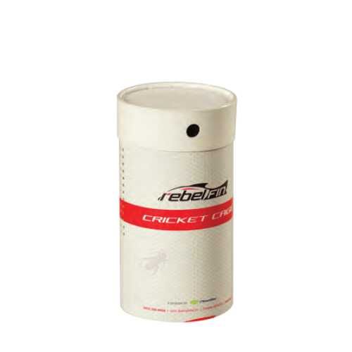 Live Cricket Container