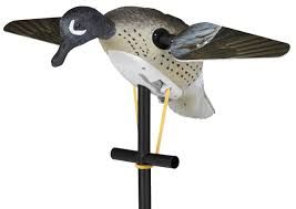 Lucky Duck Blue Wing Teal HD