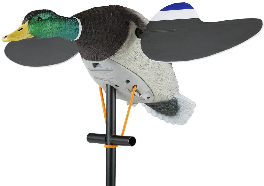 Lucky Duck Junior II