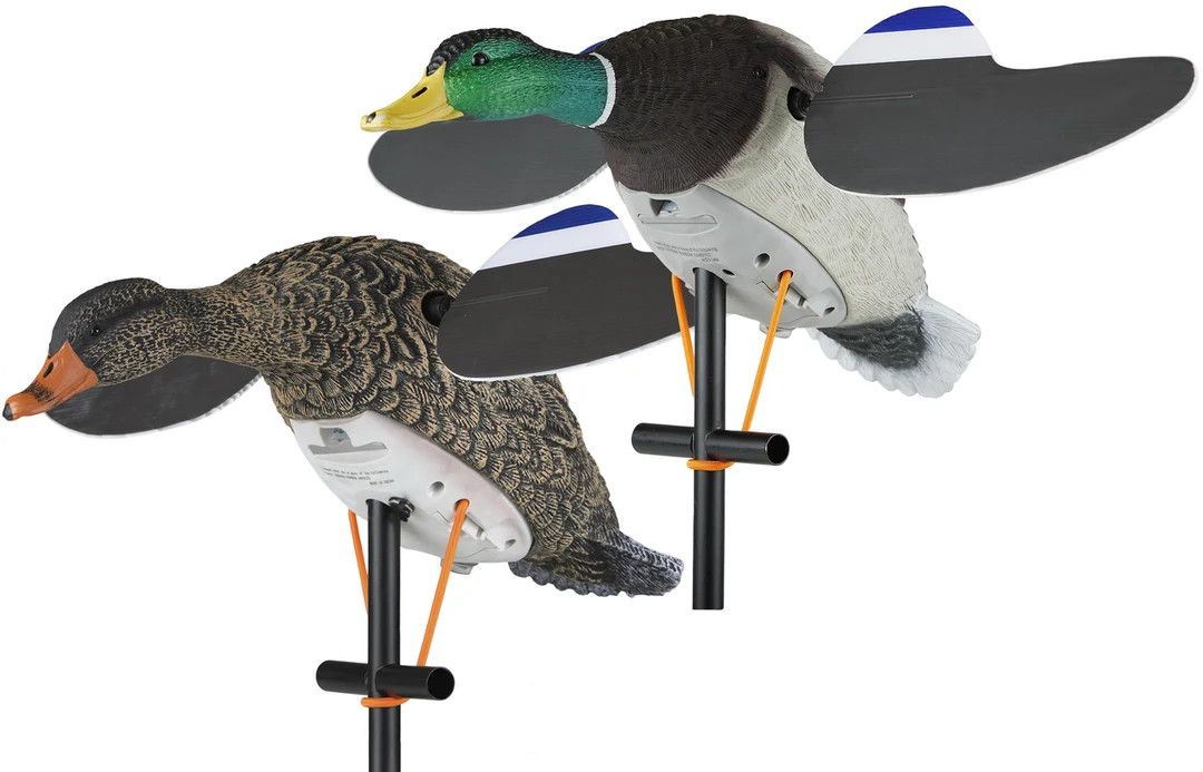 Lucky Duck Lucky Pair II