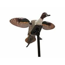 Mojo Pintail