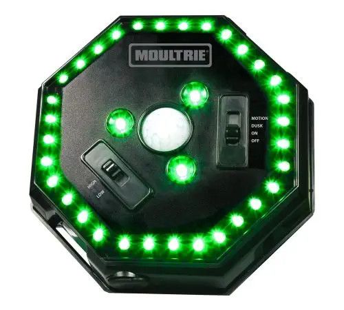 Moultrie Feeder Hog Light