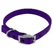 Nylon Dog Collar 1" Purple 23"