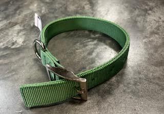 Nylon Dog Collar 1" Sage Green 19"