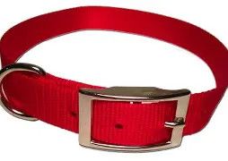 Nylon Dog Collar 3/4" red 16"