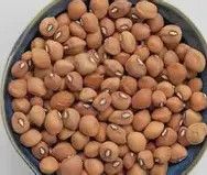 Brown Crowder Pea 1/2#