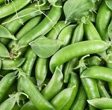 Pea, Sugar Snap Vining Pea 1/2#