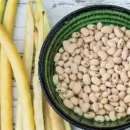 Elite Cream Pea 1/2#