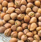 Top Pick Brown Crowder 1/2#