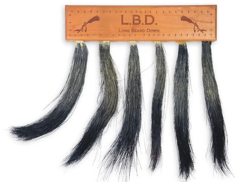 Pittman Beard Display