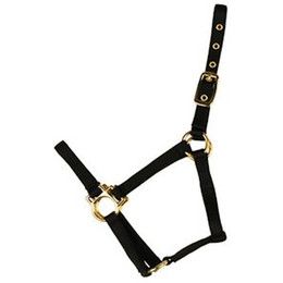 Pony halter