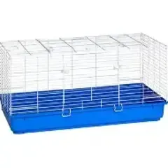 Rabbit Home Blue 40"
