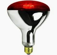 Red Heat Lamp Bulb 250 Watt