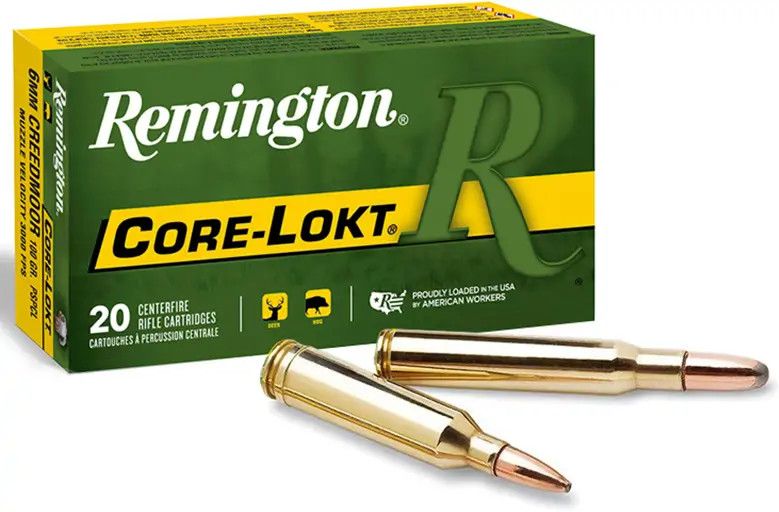Remington Core-Lokt Ammo 243 100 GR