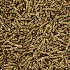 Protein Plus 18% 50#