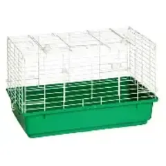 Rabbit Home Green Small 24"