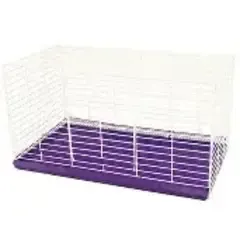 Rabbit Home Purple Medium 30"