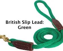 Slip Lead Leash Green 6'