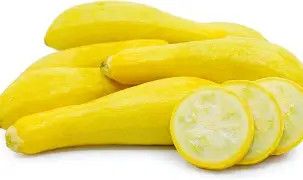 squash straightneck .5#