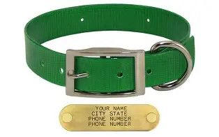 Sunglo Collar 1" Green 23"