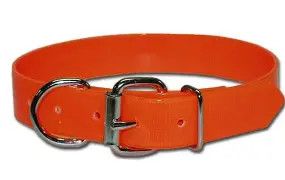 Sunglo Collar 1" Orange 1" x 19"