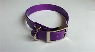 Sunglo Collar 1" Purple 19"