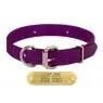 Sunglo Collar 1" Purple 21"
