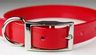 Sunglo Collar 1" Red 23"