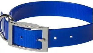 Sunglo Collar 3/4" Blue 20"