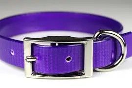 Sunglo Collar 3/4" purple 18"