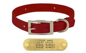 Sunglo Collar 3/4" red 16"