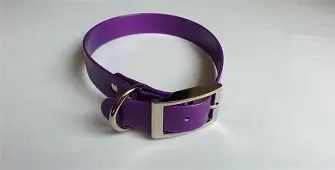 Sunglo Collar 1" purple 21"