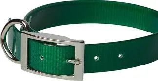 Sunglo Collar 3/4" green 18"
