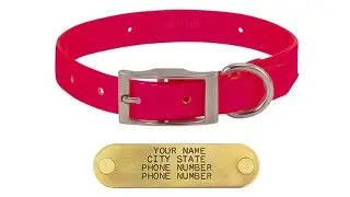 Sunglo Collar 3/4" pink 20"