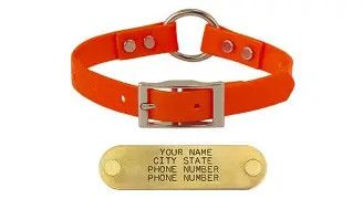 Sunglo Collar Center Ring Orange 3/4" x 16"