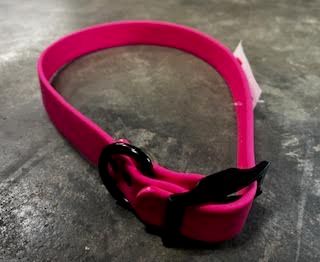 Sunglo Zeta Collar Pink 1"x24"