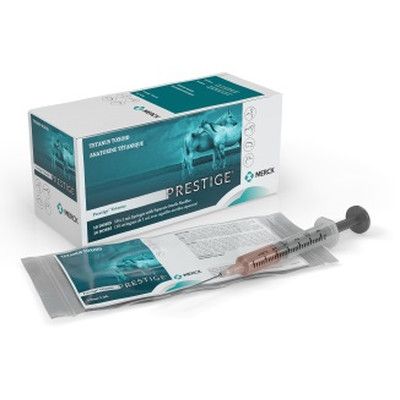 Tetanus 1 Dose
