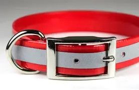 Sunglo Collar 1" Reflective Red 21"