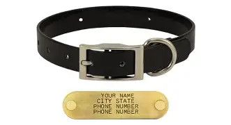 Sunglo Collar 3/4" black 20"