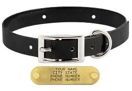 Sunglo Collar 3/4" black 18"