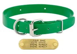 Sunglo Collar 3/4" green 20"