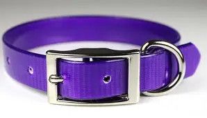 Sunglo Collar 3/4" purple 16"