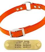 Sunglo Collar Center Ring Orange 3/4" x 18"