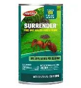 Surrender Fire ant 1#
