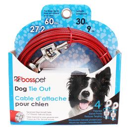 Tie Out Cable 30' large